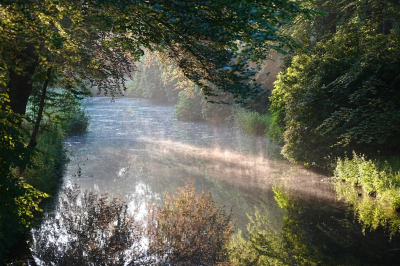 <i class='fa fa-user'></i>&nbsp;hesterb&nbsp;|  Waterdamp&nbsp; <i class='fa fa-eye'>&nbsp;80</i> &nbsp; <i class='fa fa-comment-o'>&nbsp;2</i>