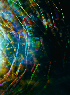 <i class='fa fa-user'></i>&nbsp;hesterb&nbsp;|  Spinrag&nbsp; <i class='fa fa-eye'>&nbsp;62</i> &nbsp;<i class='fa fa-thumbs-up'>&nbsp;2</i> &nbsp; <i class='fa fa-comment-o'>&nbsp;6</i>