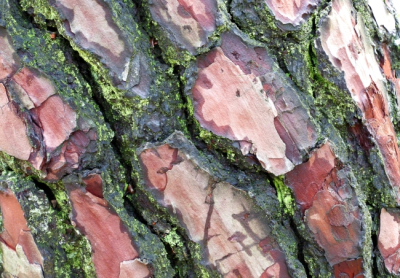 <i class='fa fa-user'></i>&nbsp;Jelle Bakker&nbsp;|  Zeeden&nbsp; <i class='fa fa-eye'>&nbsp;54</i> &nbsp; <i class='fa fa-comment-o'>&nbsp;2</i>