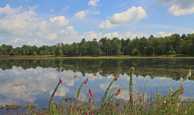 <i class='fa fa-user'></i>&nbsp;Tineke Strijbosch&nbsp;|  Dwingelderveld&nbsp; <i class='fa fa-eye'>&nbsp;73</i> &nbsp; <i class='fa fa-comment-o'>&nbsp;4</i>