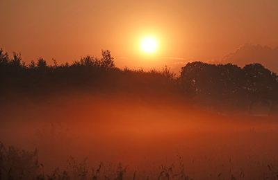 <i class='fa fa-user'></i>&nbsp;nelappelmelk&nbsp;|  Begin van de dag&nbsp; <i class='fa fa-eye'>&nbsp;60</i> &nbsp;<i class='fa fa-thumbs-up'>&nbsp;4</i> &nbsp; <i class='fa fa-comment-o'>&nbsp;7</i>