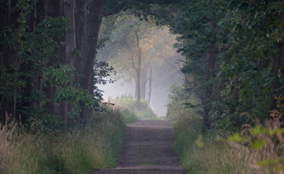 <i class='fa fa-user'></i>&nbsp;nelappelmelk&nbsp;|  Doorkijkje&nbsp; <i class='fa fa-eye'>&nbsp;94</i> &nbsp;<i class='fa fa-thumbs-up'>&nbsp;5</i> &nbsp; <i class='fa fa-comment-o'>&nbsp;13</i>