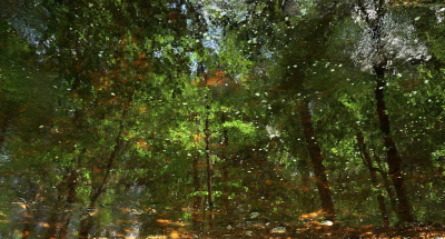 <i class='fa fa-user'></i>&nbsp;Nel R&nbsp;|  Weerspiegelingen in het water&nbsp; <i class='fa fa-eye'>&nbsp;66</i> &nbsp;<i class='fa fa-thumbs-up'>&nbsp;5</i> &nbsp; <i class='fa fa-comment-o'>&nbsp;11</i>