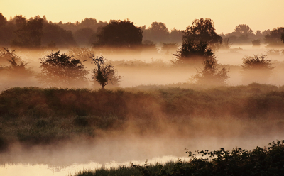 <i class='fa fa-user'></i>&nbsp;Pieter  LJ&nbsp;|  Dintelse Gorzen&nbsp; <i class='fa fa-eye'>&nbsp;72</i> &nbsp;<i class='fa fa-thumbs-up'>&nbsp;4</i> &nbsp; <i class='fa fa-comment-o'>&nbsp;6</i>