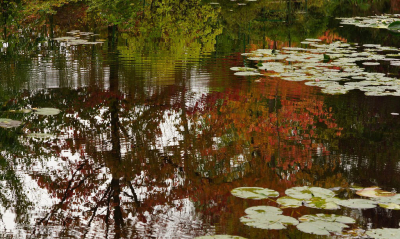 <i class='fa fa-user'></i>&nbsp;Nel R&nbsp;|  Weerspiegelingen van Monet&nbsp; <i class='fa fa-eye'>&nbsp;74</i> &nbsp;<i class='fa fa-thumbs-up'>&nbsp;1</i> &nbsp; <i class='fa fa-comment-o'>&nbsp;2</i>