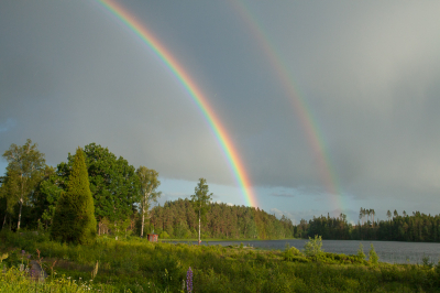 <i class='fa fa-user'></i>&nbsp;susan meijnders&nbsp;|  Dubbele regenboog&nbsp; <i class='fa fa-eye'>&nbsp;64</i> &nbsp; <i class='fa fa-comment-o'>&nbsp;4</i>