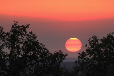 <i class='fa fa-user'></i>&nbsp;Nel R&nbsp;|  De zon&nbsp; <i class='fa fa-eye'>&nbsp;63</i> &nbsp;<i class='fa fa-thumbs-up'>&nbsp;1</i> &nbsp; <i class='fa fa-comment-o'>&nbsp;6</i>