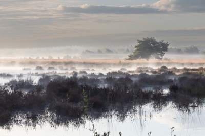 <i class='fa fa-user'></i>&nbsp;David&nbsp;|  Ochtendsfeer&nbsp; <i class='fa fa-eye'>&nbsp;115</i> &nbsp;<i class='fa fa-thumbs-up'>&nbsp;5</i> &nbsp; <i class='fa fa-comment-o'>&nbsp;7</i>