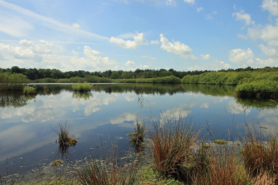 <i class='fa fa-user'></i>&nbsp;Tineke Strijbosch&nbsp;|  Windstil, spiegelingen en stilte&nbsp; <i class='fa fa-eye'>&nbsp;54</i> &nbsp;<i class='fa fa-thumbs-up'>&nbsp;1</i> &nbsp; <i class='fa fa-comment-o'>&nbsp;3</i>