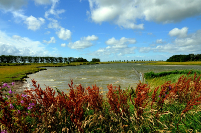 <i class='fa fa-user'></i>&nbsp;B.M.Schouten-Ruis&nbsp;|  Landschap  met water&nbsp; <i class='fa fa-eye'>&nbsp;71</i> &nbsp; <i class='fa fa-comment-o'>&nbsp;5</i>