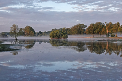 <i class='fa fa-user'></i>&nbsp;nelappelmelk&nbsp;|  Vroege morgen&nbsp; <i class='fa fa-eye'>&nbsp;86</i> &nbsp;<i class='fa fa-thumbs-up'>&nbsp;8</i> &nbsp; <i class='fa fa-comment-o'>&nbsp;11</i>