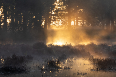 <i class='fa fa-user'></i>&nbsp;David&nbsp;|  Zonlicht en mist&nbsp; <i class='fa fa-eye'>&nbsp;74</i> &nbsp;<i class='fa fa-thumbs-up'>&nbsp;6</i> &nbsp; <i class='fa fa-comment-o'>&nbsp;10</i>