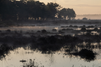 Een voorbeeld van een andere foto op verzoek waarbij er minder mist ws.