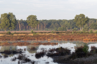 Een foto later op de ochtend zonder mist, om de kleuren te laten zien van het landschap.