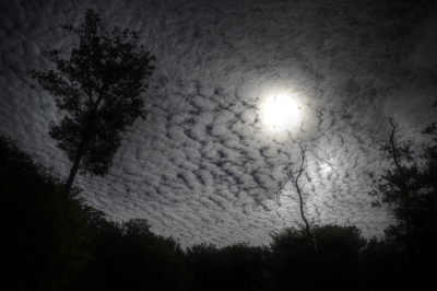 <i class='fa fa-user'></i>&nbsp;liesbeth van vliet&nbsp;|  Schapenwolkjes&nbsp; <i class='fa fa-eye'>&nbsp;58</i> &nbsp;<i class='fa fa-thumbs-up'>&nbsp;2</i> &nbsp; <i class='fa fa-comment-o'>&nbsp;6</i>