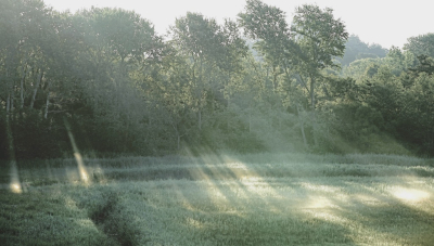 <i class='fa fa-user'></i>&nbsp;hesterb&nbsp;|  H2O en stralen&nbsp; <i class='fa fa-eye'>&nbsp;79</i> &nbsp; <i class='fa fa-comment-o'>&nbsp;7</i>