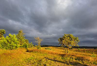 <i class='fa fa-user'></i>&nbsp;nelappelmelk&nbsp;|  Onwerkelijke kleuren&nbsp; <i class='fa fa-eye'>&nbsp;94</i> &nbsp;<i class='fa fa-thumbs-up'>&nbsp;3</i> &nbsp; <i class='fa fa-comment-o'>&nbsp;4</i>