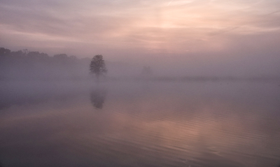 <i class='fa fa-user'></i>&nbsp;nelappelmelk&nbsp;|  Mistige sfeer&nbsp; <i class='fa fa-eye'>&nbsp;88</i> &nbsp;<i class='fa fa-thumbs-up'>&nbsp;8</i> &nbsp; <i class='fa fa-comment-o'>&nbsp;9</i>