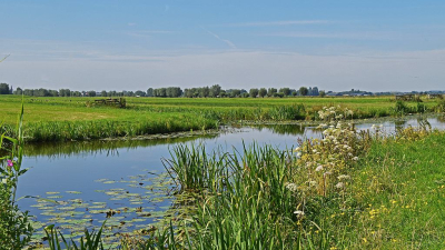 <i class='fa fa-user'></i>&nbsp;kooyammers&nbsp;|  Zomerse Slootkant&nbsp; <i class='fa fa-eye'>&nbsp;48</i> &nbsp;<i class='fa fa-thumbs-up'>&nbsp;1</i> &nbsp; <i class='fa fa-comment-o'>&nbsp;4</i>