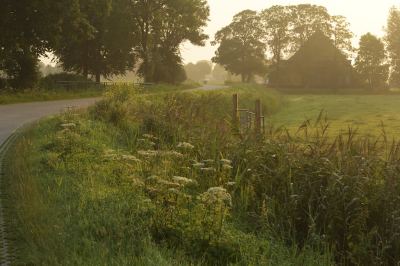 <i class='fa fa-user'></i>&nbsp;Hendrik van Kampen&nbsp;|  Hegedyk&nbsp; <i class='fa fa-eye'>&nbsp;87</i> &nbsp;<i class='fa fa-thumbs-up'>&nbsp;3</i> &nbsp; <i class='fa fa-comment-o'>&nbsp;7</i>