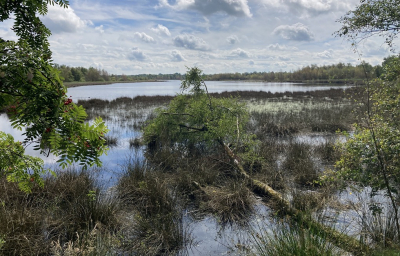 <i class='fa fa-user'></i>&nbsp;Tineke Strijbosch&nbsp;|  Zwillbrocker Venn&nbsp; <i class='fa fa-eye'>&nbsp;70</i> &nbsp;<i class='fa fa-thumbs-up'>&nbsp;3</i> &nbsp; <i class='fa fa-comment-o'>&nbsp;6</i>