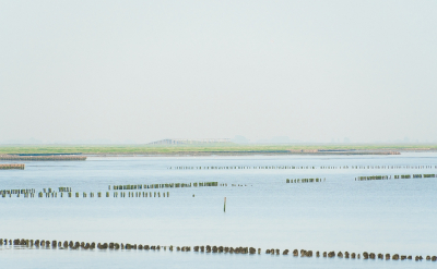 <i class='fa fa-user'></i>&nbsp;Tim Oord&nbsp;|  Eb op het Wad&nbsp; <i class='fa fa-eye'>&nbsp;67</i> &nbsp;<i class='fa fa-thumbs-up'>&nbsp;1</i> &nbsp; <i class='fa fa-comment-o'>&nbsp;2</i>