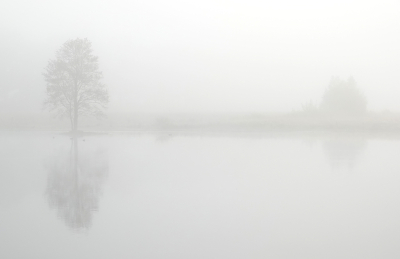 <i class='fa fa-user'></i>&nbsp;nelappelmelk&nbsp;|  Dikke mist&nbsp; <i class='fa fa-eye'>&nbsp;76</i> &nbsp;<i class='fa fa-thumbs-up'>&nbsp;1</i> &nbsp; <i class='fa fa-comment-o'>&nbsp;3</i>