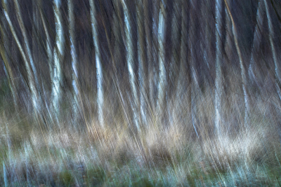 <i class='fa fa-user'></i>&nbsp;ErnovanDoorn&nbsp;|  Berken ICM&nbsp; <i class='fa fa-eye'>&nbsp;58</i> &nbsp;<i class='fa fa-thumbs-up'>&nbsp;1</i> &nbsp; <i class='fa fa-comment-o'>&nbsp;5</i>