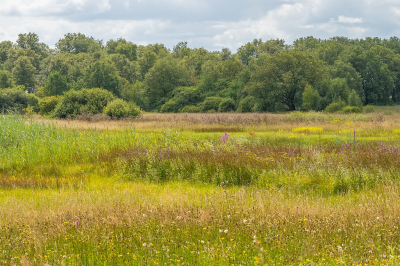 <i class='fa fa-user'></i>&nbsp;Tim Oord&nbsp;|  Grasland&nbsp; <i class='fa fa-eye'>&nbsp;67</i> &nbsp; <i class='fa fa-comment-o'>&nbsp;4</i>