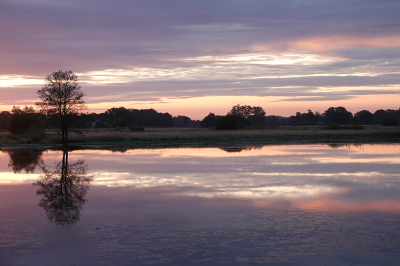 <i class='fa fa-user'></i>&nbsp;nelappelmelk&nbsp;|  Kleurrijk in de vroege morgen&nbsp; <i class='fa fa-eye'>&nbsp;61</i> &nbsp;<i class='fa fa-thumbs-up'>&nbsp;1</i> &nbsp; <i class='fa fa-comment-o'>&nbsp;7</i>