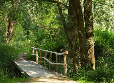 <i class='fa fa-user'></i>&nbsp;B.M.Schouten-Ruis&nbsp;|  Landgoed De Esch&nbsp; <i class='fa fa-eye'>&nbsp;57</i> &nbsp; <i class='fa fa-comment-o'>&nbsp;2</i>