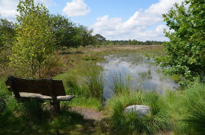<i class='fa fa-user'></i>&nbsp;B.M.Schouten-Ruis&nbsp;|  De Oude Buisse Heide&nbsp; <i class='fa fa-eye'>&nbsp;66</i> &nbsp;<i class='fa fa-thumbs-up'>&nbsp;1</i> &nbsp; <i class='fa fa-comment-o'>&nbsp;4</i>