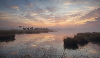 <i class='fa fa-user'></i>&nbsp;Pieter  LJ&nbsp;|  Stappensven&nbsp; <i class='fa fa-eye'>&nbsp;91</i> &nbsp;<i class='fa fa-thumbs-up'>&nbsp;11</i> &nbsp; <i class='fa fa-comment-o'>&nbsp;5</i>