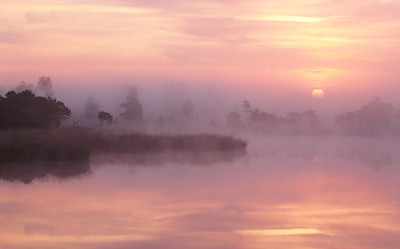 <i class='fa fa-user'></i>&nbsp;Pieter  LJ&nbsp;|  Stappensven&nbsp; <i class='fa fa-eye'>&nbsp;98</i> &nbsp;<i class='fa fa-thumbs-up'>&nbsp;8</i> &nbsp; <i class='fa fa-comment-o'>&nbsp;7</i>