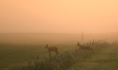 <i class='fa fa-user'></i>&nbsp;Eric Gibcus&nbsp;|  Ree&nbsp; <i class='fa fa-eye'>&nbsp;86</i> &nbsp;<i class='fa fa-thumbs-up'>&nbsp;6</i> &nbsp; <i class='fa fa-comment-o'>&nbsp;6</i>