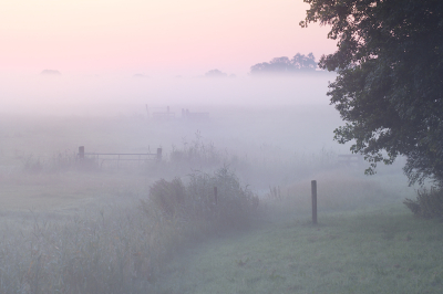 <i class='fa fa-user'></i>&nbsp;Hendrik van Kampen&nbsp;|  De Ald Rijd&nbsp; <i class='fa fa-eye'>&nbsp;75</i> &nbsp;<i class='fa fa-thumbs-up'>&nbsp;2</i> &nbsp; <i class='fa fa-comment-o'>&nbsp;7</i>