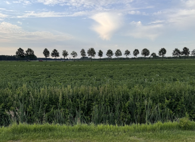 <i class='fa fa-user'></i>&nbsp;HenK5&nbsp;|  Drenths landschap&nbsp; <i class='fa fa-eye'>&nbsp;59</i> &nbsp; <i class='fa fa-comment-o'>&nbsp;5</i>