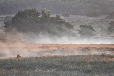 <i class='fa fa-user'></i>&nbsp;nelappelmelk&nbsp;|  Opstijgende waterdamp&nbsp; <i class='fa fa-eye'>&nbsp;75</i> &nbsp;<i class='fa fa-thumbs-up'>&nbsp;3</i> &nbsp; <i class='fa fa-comment-o'>&nbsp;6</i>