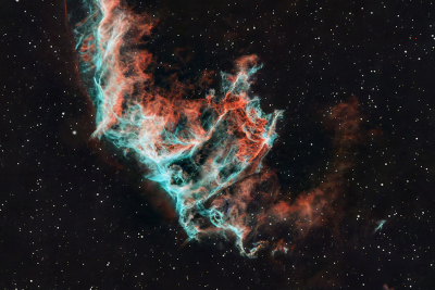 <i class='fa fa-user'></i>&nbsp;Bertus&nbsp;|  Oosterlijke Veil nevel&nbsp; <i class='fa fa-eye'>&nbsp;83</i> &nbsp;<i class='fa fa-thumbs-up'>&nbsp;8</i> &nbsp; <i class='fa fa-comment-o'>&nbsp;6</i>