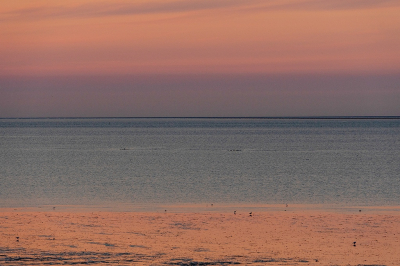 <i class='fa fa-user'></i>&nbsp;Tim Oord&nbsp;|  Zonsondergang&nbsp; <i class='fa fa-eye'>&nbsp;66</i> &nbsp;<i class='fa fa-thumbs-up'>&nbsp;1</i> &nbsp; <i class='fa fa-comment-o'>&nbsp;2</i>