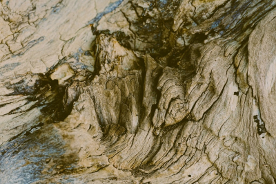 <i class='fa fa-user'></i>&nbsp;hesterb&nbsp;|  Stukhout/landschap?&nbsp; <i class='fa fa-eye'>&nbsp;67</i> &nbsp;<i class='fa fa-thumbs-up'>&nbsp;1</i> &nbsp; <i class='fa fa-comment-o'>&nbsp;4</i>