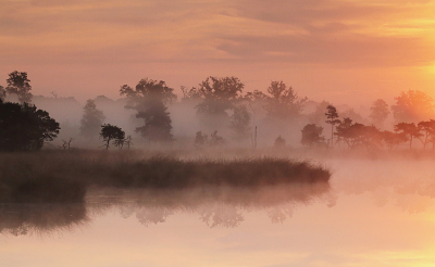 <i class='fa fa-user'></i>&nbsp;Pieter  LJ&nbsp;|  Stappensven&nbsp; <i class='fa fa-eye'>&nbsp;108</i> &nbsp;<i class='fa fa-thumbs-up'>&nbsp;11</i> &nbsp; <i class='fa fa-comment-o'>&nbsp;9</i>