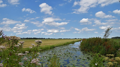 <i class='fa fa-user'></i>&nbsp;kooyammers&nbsp;|  Slootkant&nbsp; <i class='fa fa-eye'>&nbsp;71</i> &nbsp;<i class='fa fa-thumbs-up'>&nbsp;3</i> &nbsp; <i class='fa fa-comment-o'>&nbsp;5</i>