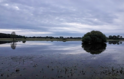 <i class='fa fa-user'></i>&nbsp;nelappelmelk&nbsp;|  Vroege morgen&nbsp; <i class='fa fa-eye'>&nbsp;54</i> &nbsp; <i class='fa fa-comment-o'>&nbsp;3</i>