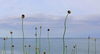 <i class='fa fa-user'></i>&nbsp;Nel R&nbsp;|  Kraailook&nbsp; <i class='fa fa-eye'>&nbsp;48</i> &nbsp;<i class='fa fa-thumbs-up'>&nbsp;1</i> &nbsp; <i class='fa fa-comment-o'>&nbsp;7</i>