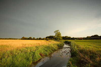 <i class='fa fa-user'></i>&nbsp;Pieter  LJ&nbsp;|  Beek bij avondlicht&nbsp; <i class='fa fa-eye'>&nbsp;44</i> &nbsp;<i class='fa fa-thumbs-up'>&nbsp;1</i> &nbsp; <i class='fa fa-comment-o'>&nbsp;6</i>