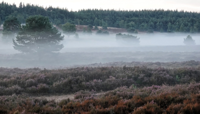 <i class='fa fa-user'></i>&nbsp;nelappelmelk&nbsp;|  Wat grondmist&nbsp; <i class='fa fa-eye'>&nbsp;87</i> &nbsp; <i class='fa fa-comment-o'>&nbsp;5</i>