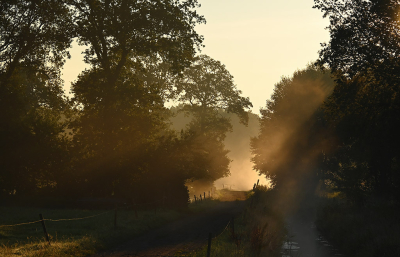 <i class='fa fa-user'></i>&nbsp;Eric Gibcus&nbsp;|  Landschap&nbsp; <i class='fa fa-eye'>&nbsp;70</i> &nbsp; <i class='fa fa-comment-o'>&nbsp;4</i>