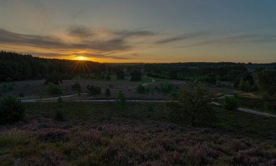 <i class='fa fa-user'></i>&nbsp;Jurgen Maassen&nbsp;|  Bloeiende heide&nbsp; <i class='fa fa-eye'>&nbsp;107</i> &nbsp;<i class='fa fa-thumbs-up'>&nbsp;1</i> &nbsp; <i class='fa fa-comment-o'>&nbsp;10</i>