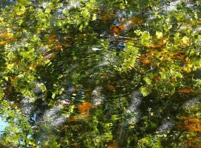 <i class='fa fa-user'></i>&nbsp;hesterb&nbsp;|  Luchtbubbels&nbsp; <i class='fa fa-eye'>&nbsp;60</i> &nbsp; <i class='fa fa-comment-o'>&nbsp;4</i>